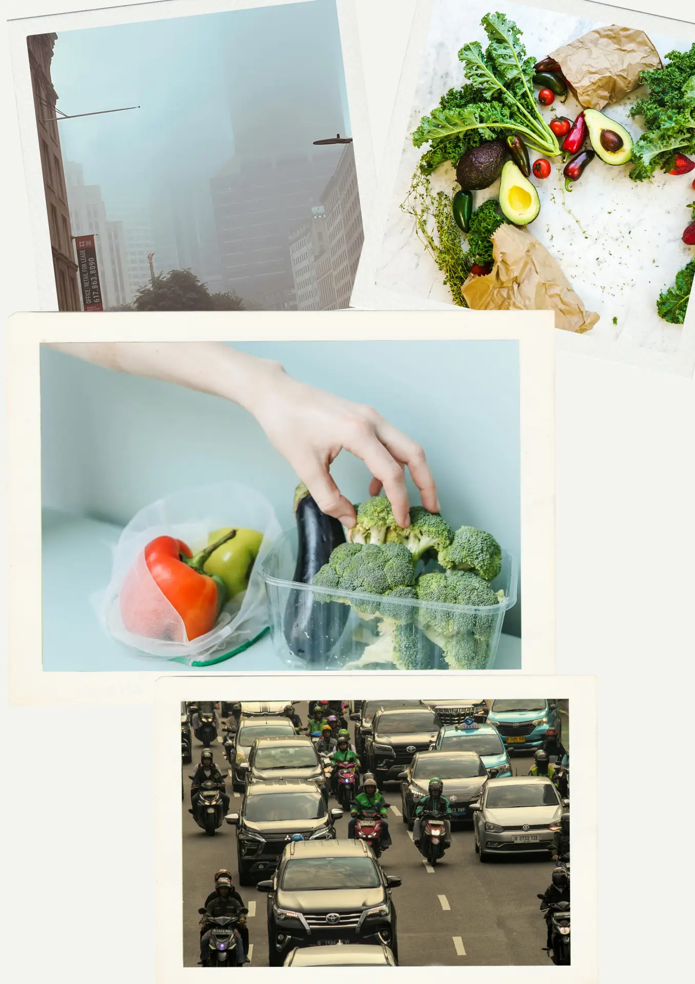 A Better Health: With Eco- friendly choices.