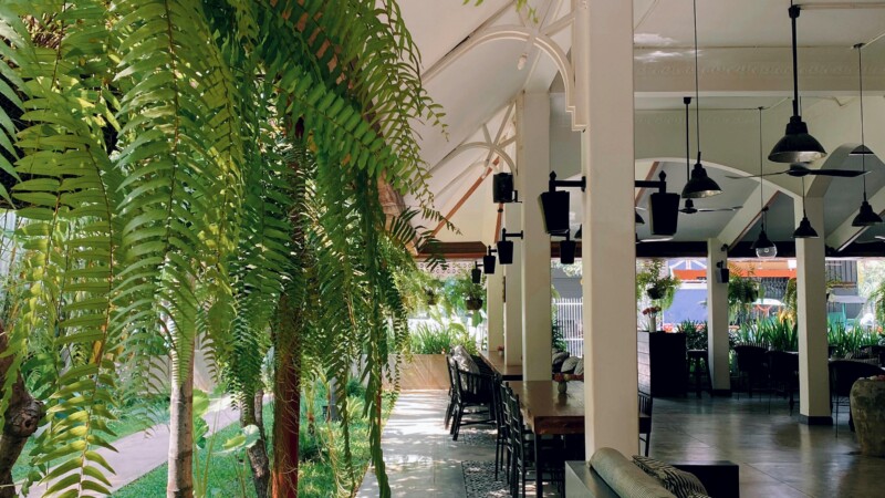 Sustainability During Travel: How to Create a Purposeful Trip.